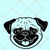 Cute Pug Face SVG