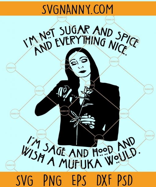 I am not sugar and spice and everything nice SVG