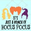 It’s Just a Bunch of Hocus Pocus SVG