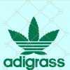 Adigrass svg