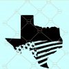 Texas svg