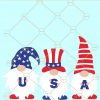 Patriotic Gnomes svg