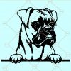 Peeking Boxer Dog Svg