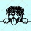 Peeking Rottweiler Dog SVG