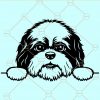 Peeking Shih Tzu svg