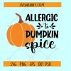 Allergic to pumpkin spice SVG, Pumpkin Spice SVG, Fall svg, fall shirt svg