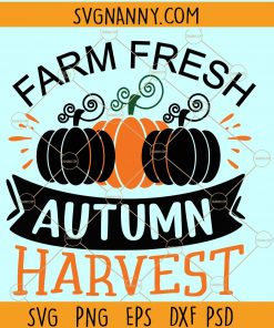Farm fresh autumn harvest svg, Pumpkin Patch Svg, Fall Harvest Svg, Farm Fresh Pumpkins SVG, Farm Fresh Sign SVG, Farm Fresh Harvest file