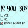 Is You 30 Bitch I Might Be SVG, 30th Birthday SVG, Is You 30 SVG, Bitch I Might Be SVG, Sassy Birthday SVG, 30 and fabulous SVG, hello 30 svg file