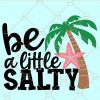 Be a Little Salty Svg, Summer Beach Svg, Beach shirt svg, Beach vacation Svg, Summer Svg, Beach Svg file