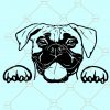 Boxer dog SVG, boxer svg, Boxer dog breed svg, dog mom svg, Cute Boxer svg, Boxer face svg, Dog breed svg file