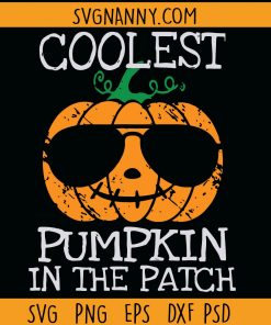 Coolest Pumpkin in the Patch SVG, Pumpkin Patch SVG, Boy Pumpkin SVG, Baby Boy Shirt SVG, Toddler SVG, Cutest Pumpkin In The Patch SVG, Thanksgiving SVG, Halloween Pumpkin SVG, kids SVG, kids shirt SVG, onesie SVG Files