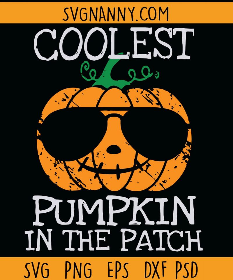 Coolest Pumpkin in the Patch SVG, Pumpkin Patch SVG, Boy Pumpkin SVG