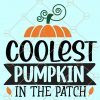 Coolest Pumpkin in the Patch SVG, Pumpkin Patch SVG, Boy Pumpkin SVG, Thanksgiving SVG, Halloween Pumpkin SVG, Halloween Shirt SVG, kids Halloween svg, fall SVG, Halloween SVG files