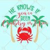He Knows If You've Been Crabby Or Nice SVG, Christmas SVG, Funny Beach Christmas Sign SVG, Nautical svg, Tropical svg, Vinyl Decal File for Cricut files