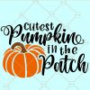 Cutest Pumpkin In The Patch SVG, Thanksgiving SVG, Halloween Pumpkin SVG, Cutest pumpkin SVG, Pumpkin SVG, Halloween Shirt SVG, Pumpkin leave SVG, Halloween svg Files