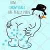 How Snowflakes Are made SVG, How Snowflakes Are Really Made SVG, How Snowflakes Are Really Made Snowman Funny Quote SVG, Snowflakes SVG, Kids snowman shirt SVG, Snowman shirt SVG, Snowman face svg, snowman svg files