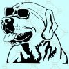 Labrador Retriever with sunglasses SVG, Labrador Dog Svg, Labrador svg, Labrador Retriever sunglasses SVG, black labrador svg, doggo svg, doge svg, my lab svg, my dog svg, my pet svg, Labrador Clip art, Labrador Vector Files