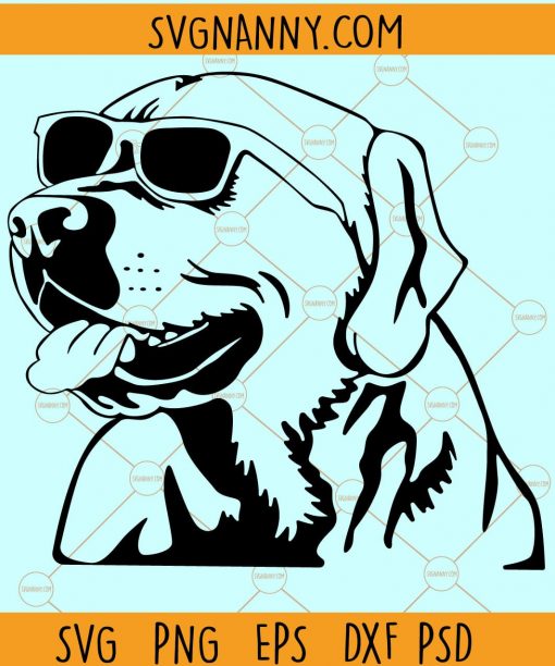 Labrador Retriever with sunglasses SVG, Labrador Dog Svg, Labrador svg, Labrador Retriever sunglasses SVG, black labrador svg, doggo svg, doge svg, my lab svg, my dog svg, my pet svg, Labrador Clip art, Labrador Vector Files