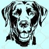 Labrador Dog Svg, Labrador svg, black labrador svg, doggo svg, doge svg, my lab svg, my dog svg, Dog Svg, Labrador Clip art, Labrador Vector Files