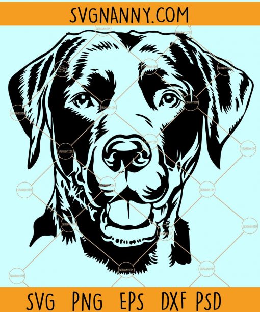 Labrador Dog Svg, Labrador svg, black labrador svg, doggo svg, doge svg, my lab svg, my dog svg, Dog Svg, Labrador Clip art, Labrador Vector Files