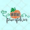 Little Pumpkin SVG, Cute Pumpkin SVG, baby Halloween svg, kids Halloween shirt svg, Fall Svg for Kids, pumpkin svg, Pumpkin Cut File, Onesie svg files