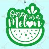 One in a Melon Svg, Watermelon Svg, Summer Svg, One in melon png, Summertime Svg, Watermelon Shirt svg, Watermelon Popsicle Svg