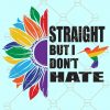 Pride Straight But I Don’t Hate SVG, I May Be Straight But I Don’t Hate Svg, Pride LGBT svg, Equality Svg, Support LGBT Rights svg, LGBTQ svg files, Pride Svg Files, gay svg, Gay pride cut files, Straight But I Don’t Hate svg files