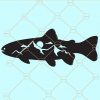 Trout Svg, Trout Fishing Svg, Trout Fish Svg, Trout Fish Clipart, Fishing Svg, Trout Fish Vector, Trout Fishing svg  files