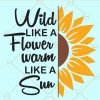 Wild like a flower warm like sun svg, sunflower svg, Wild Soul SVG, Sunflower Quote svg, half sunflower svg