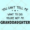 You Can’t Tell Me What To Do You’re Not My Grandkids svg, Gift for Grandpa svg, You Can’t Tell Me What To Do You’re Not My Daughter Svg, grandkids Mug SVG, grandfather shirt svg file