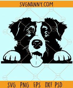 Border collie svg