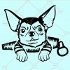 Chihuahua dog svg