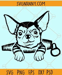 Chihuahua dog svg