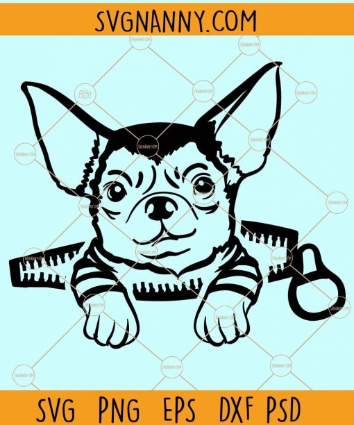 Chihuahua dog svg