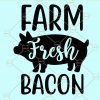 Farm fresh bacon svg