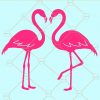 Flamingo summer svg