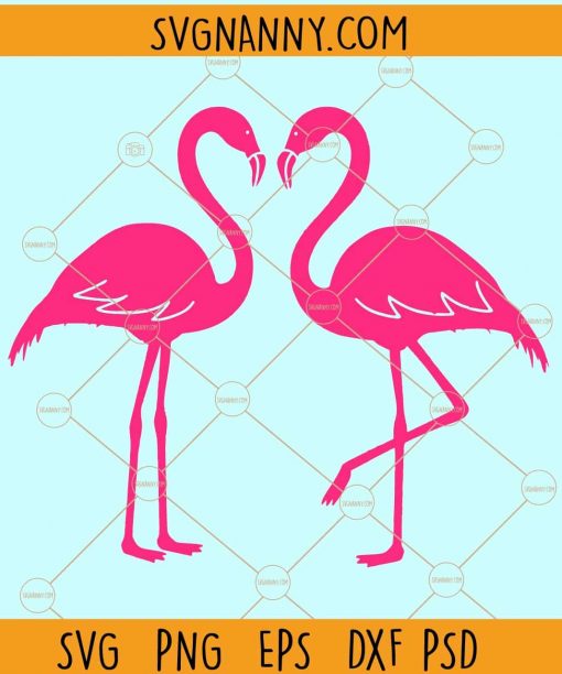 Flamingo summer svg