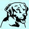Labrador retriever svg