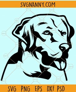 Labrador retriever svg