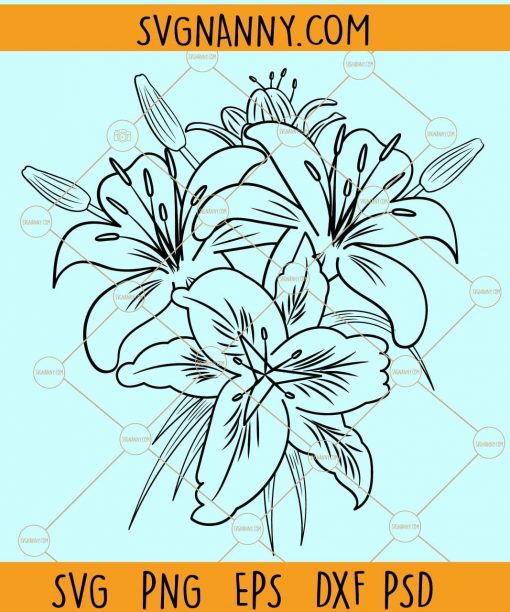 Lilium flower svg