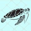 Sea turtle svg