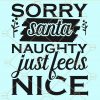 Sorry santa naughty just feels nice svg