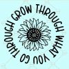 Sunflower grow through what you go through svg