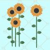 Sunflower svg