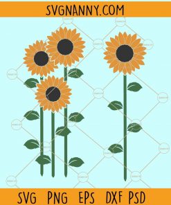 Sunflower svg