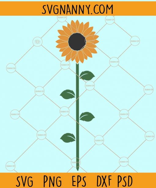 Sunflower svg