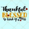 Thankful blessed and kind of a mess svg