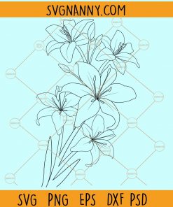 Lily flower svg