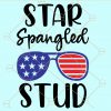 Star spangled stud svg