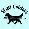 Stay golden svg